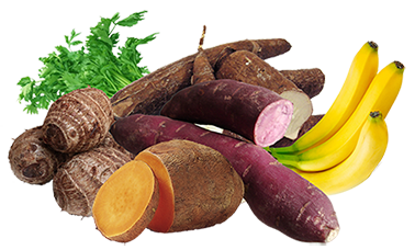 Playlist Pangan Lokal